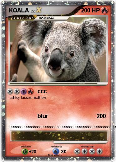 Pokemon KOALA