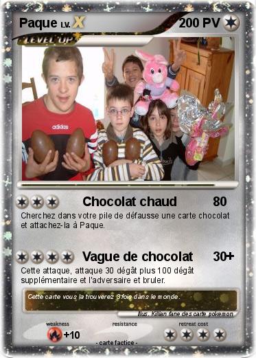 Pokemon Paque