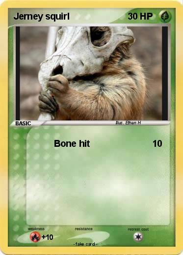 Pokemon Jerney squirl