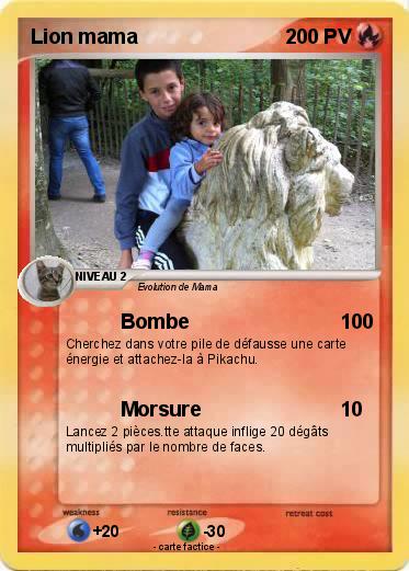 Pokemon Lion mama