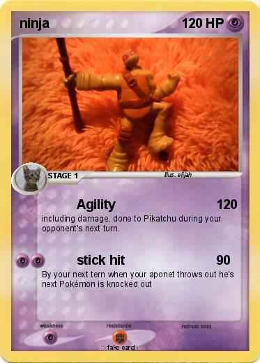 Pokemon ninja