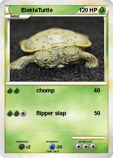 Pokemon ElektaTurtle