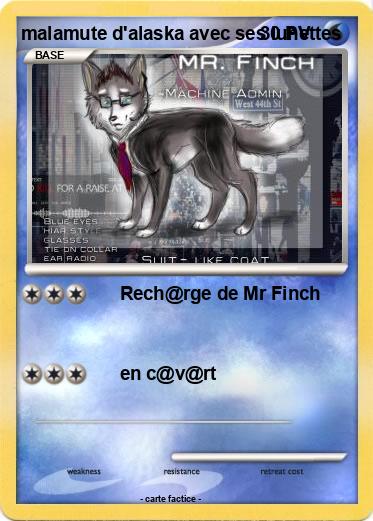 Pokemon malamute d'alaska avec ses lunettes