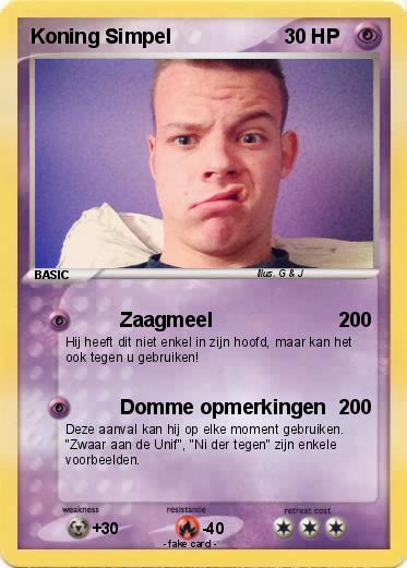 Pokemon Koning Simpel