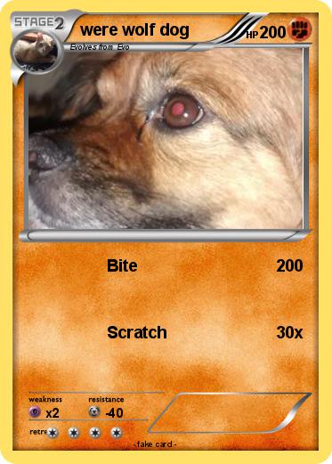 Pokemon were wolf dog