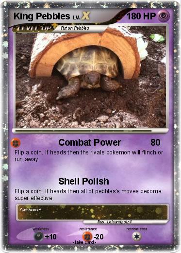 Pokemon King Pebbles