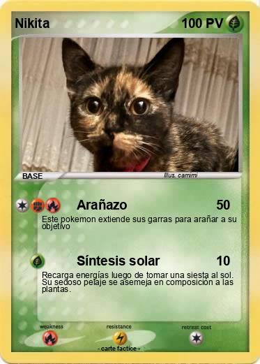 Pokemon Nikita