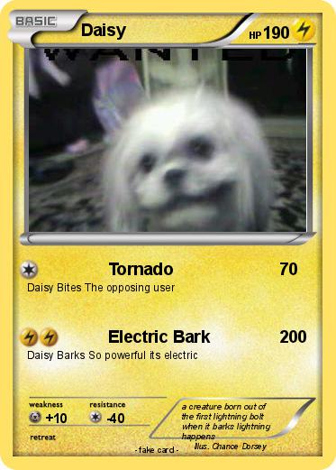 Pokemon Daisy