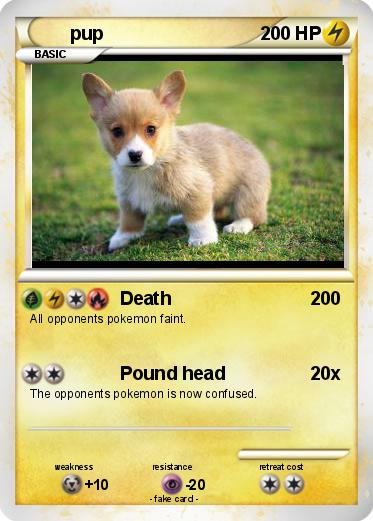 Pokemon pup