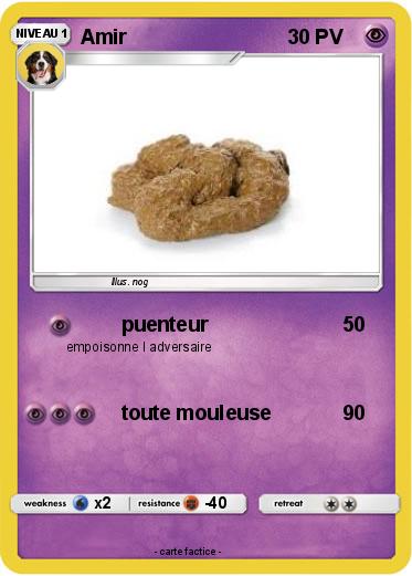 Pokemon Amir