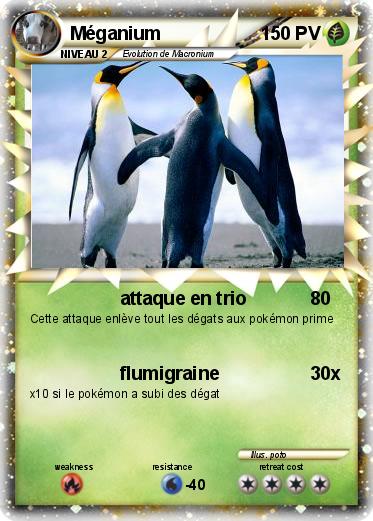 Pokemon Méganium