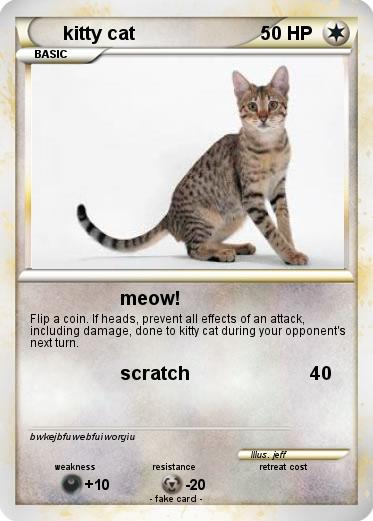 Pokemon kitty cat