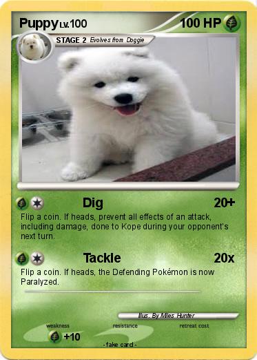 Pokemon Puppy