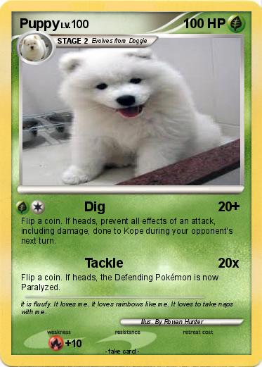 Pokemon Puppy