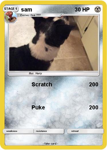 Pokemon sam