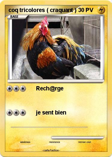 Pokemon coq tricolores ( craquant )
