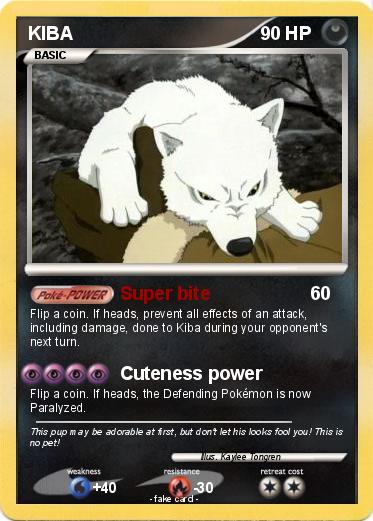 Pokemon KIBA