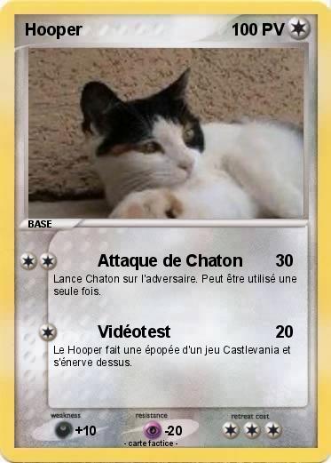 Pokemon Hooper