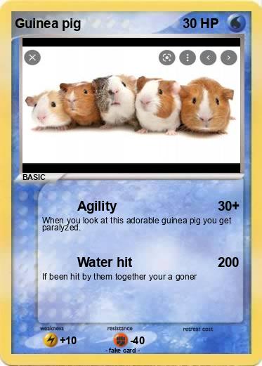 Pokemon Guinea pig