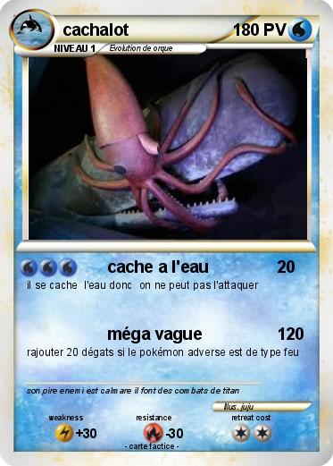 Pokemon cachalot