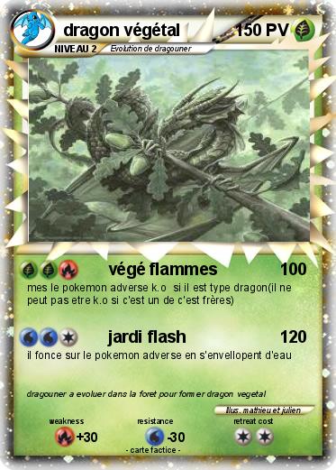 Pokemon dragon végétal