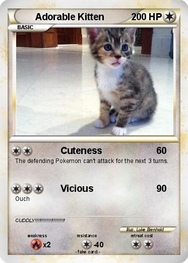 Pokemon Adorable Kitten
