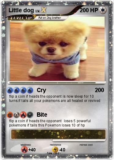 Pokemon Little dog