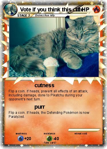 Pokemon Vote if you think this cute