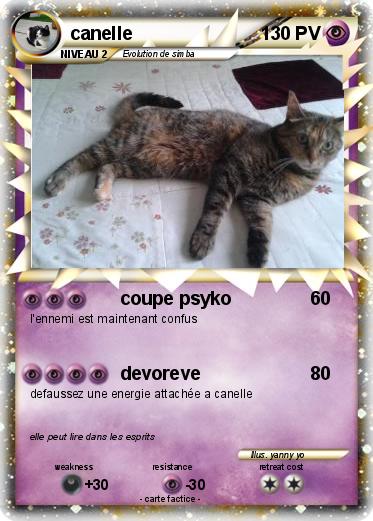 Pokemon canelle