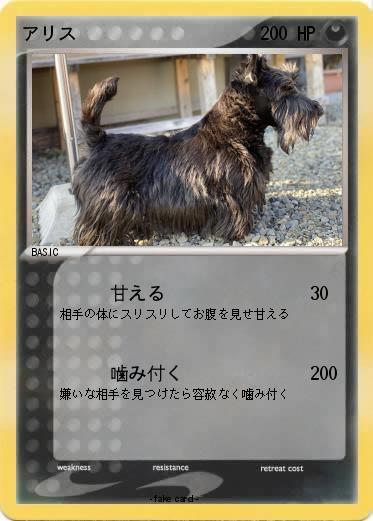 Pokemon アリス
