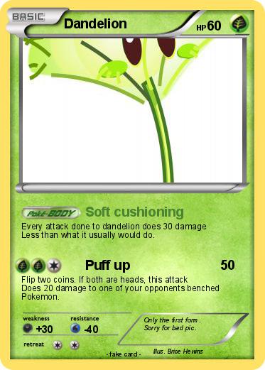 Pokemon Dandelion
