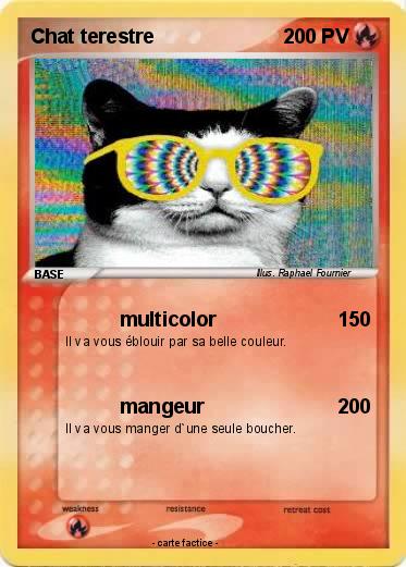 Pokemon Chat terestre