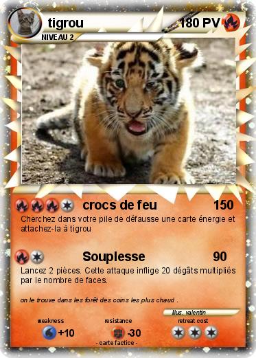 Pokemon tigrou