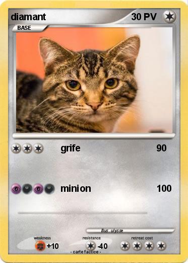 Pokemon diamant
