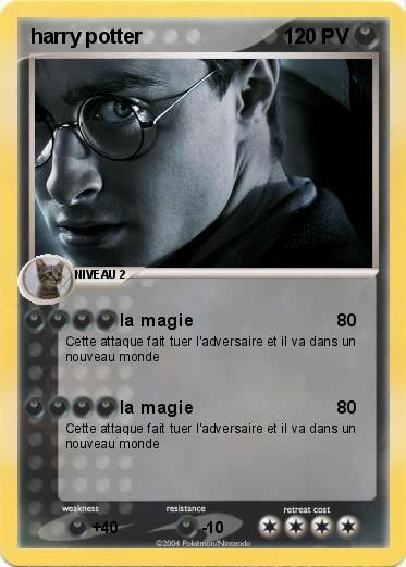 Pokemon harry potter 