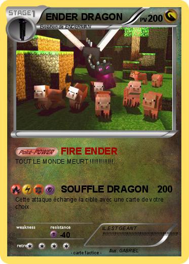 Pokemon ENDER DRAGON