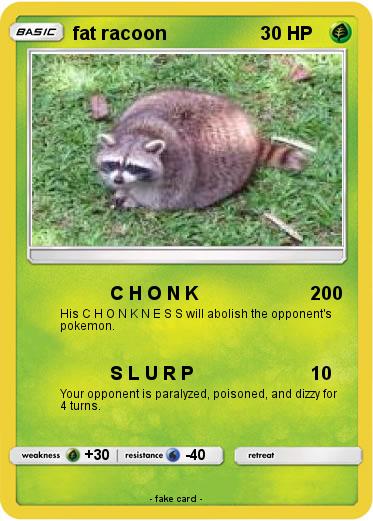 Pokemon fat racoon