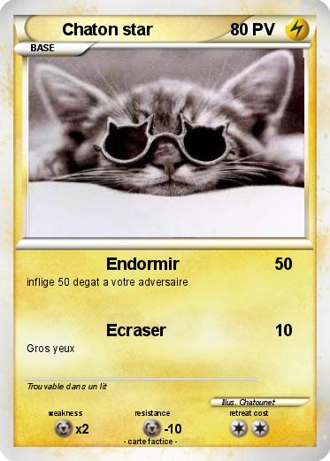 Pokemon Chaton star