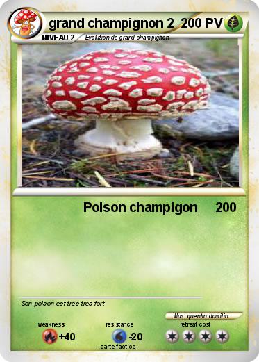 Pokemon grand champignon 2
