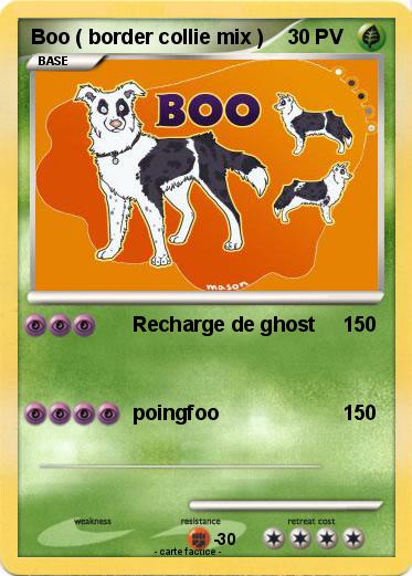 Pokemon Boo ( border collie mix )