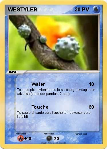 Pokemon WESTYLER