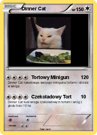 Pokemon Dinner Cat