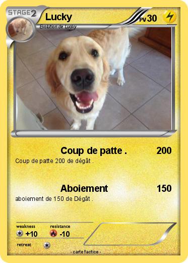Pokemon Lucky
