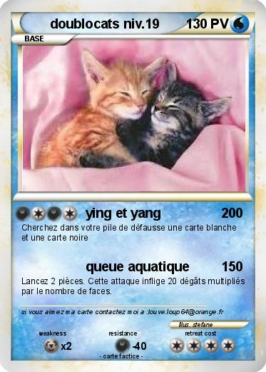 Pokemon doublocats niv.19