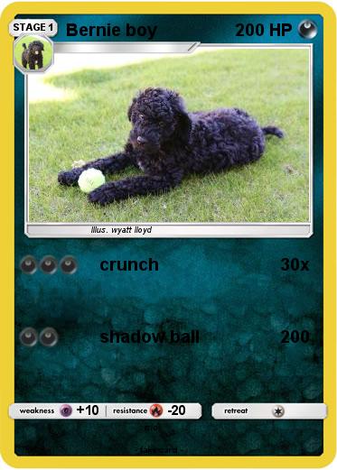 Pokemon Bernie boy