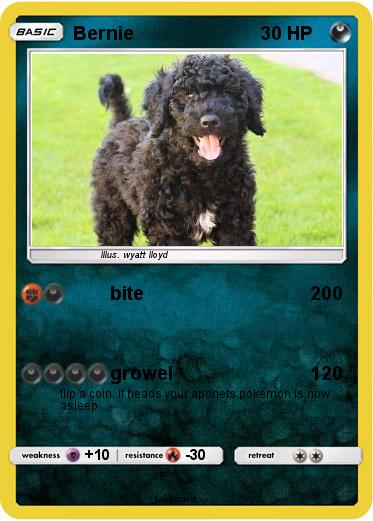 Pokemon Bernie