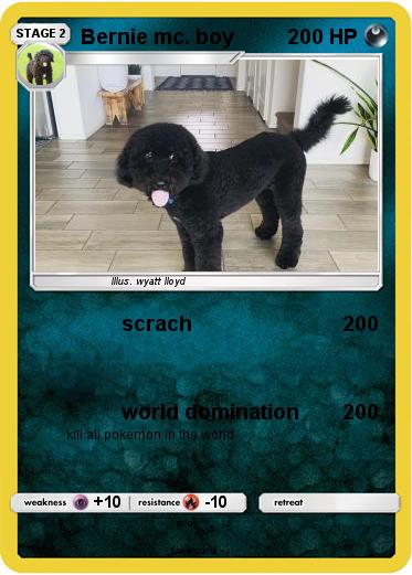 Pokemon Bernie mc. boy