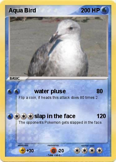 Pokemon Aqua Bird