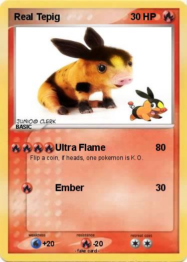 Pokemon Real Tepig