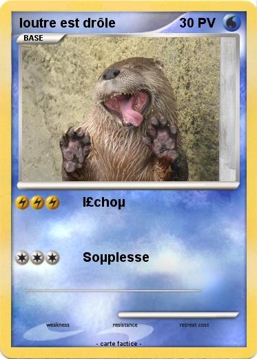 Pokemon loutre est drôle